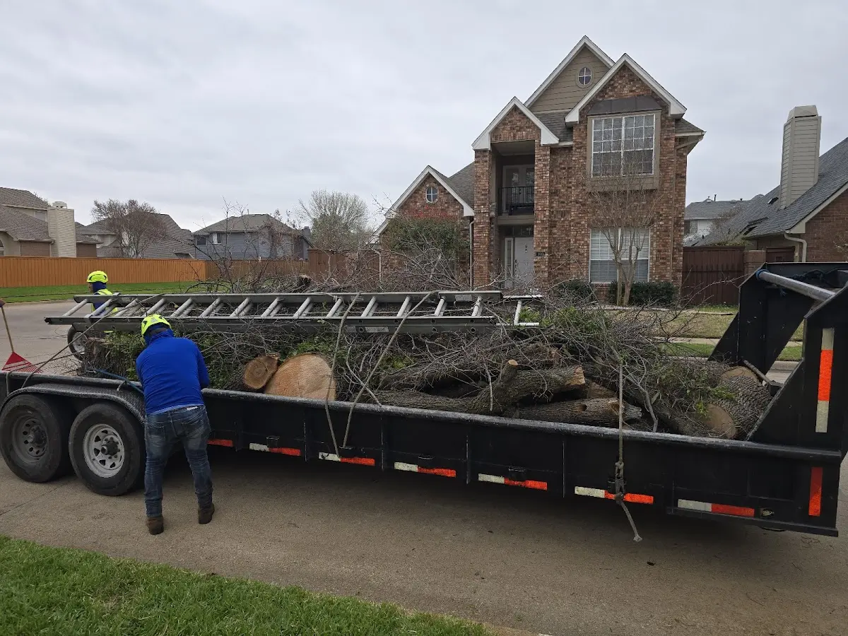 Expert Tree Fertilization with proper safety equipment in Elmore